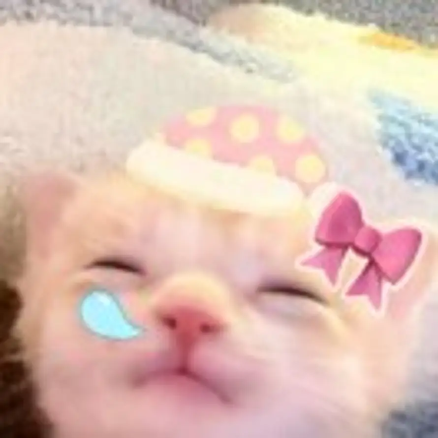 🦴的头像