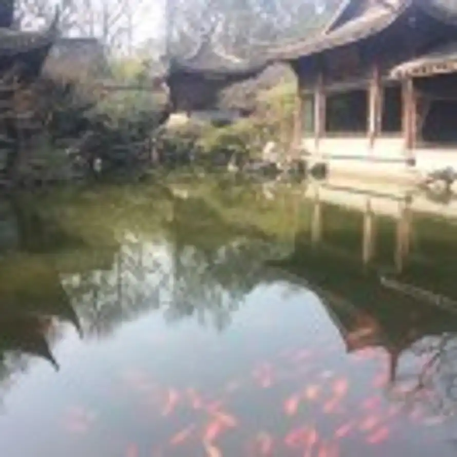 仰望星空的头像