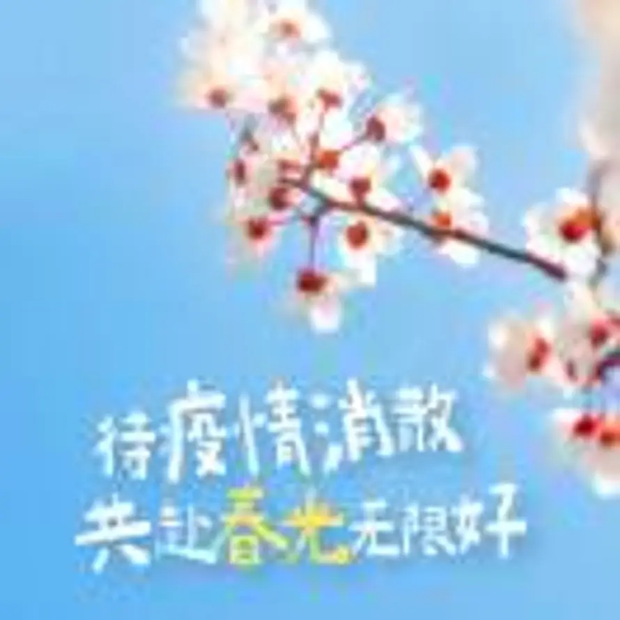 用户静待花开的头像