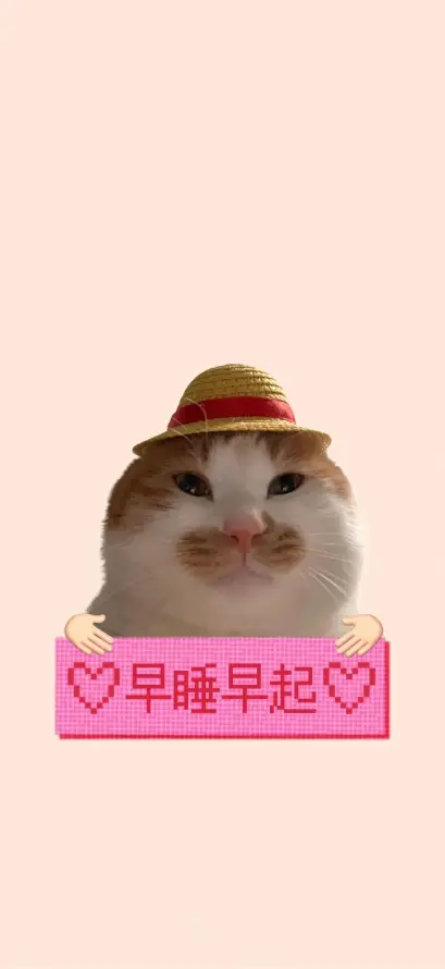 4k可爱壁纸 - 小猫 - 治愈 - 爱心「哲风壁纸」