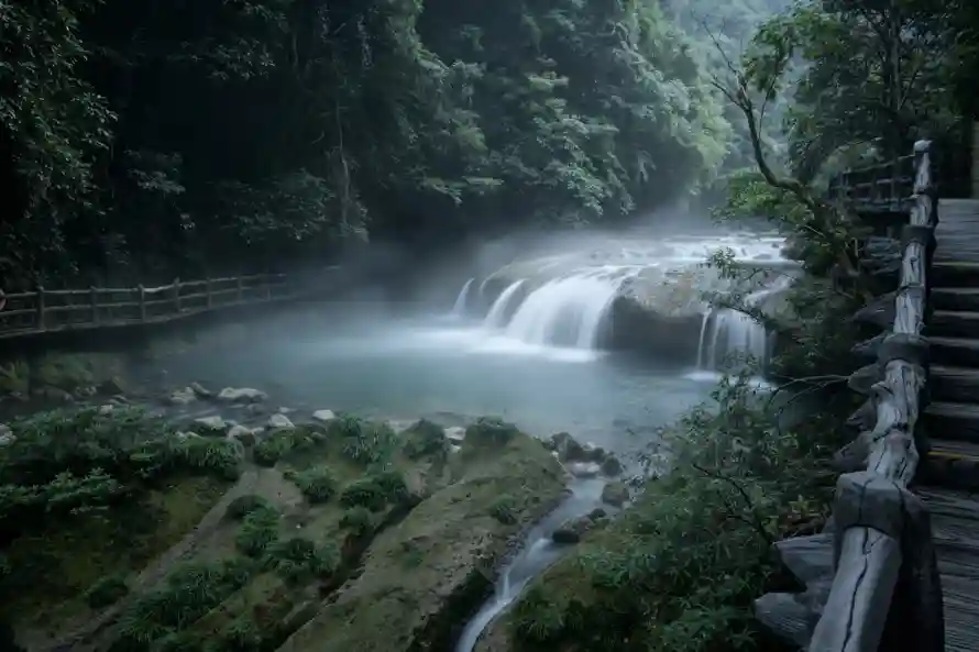 4k密林壁纸 - 岩石 - 森林 - 水雾「哲风壁纸」