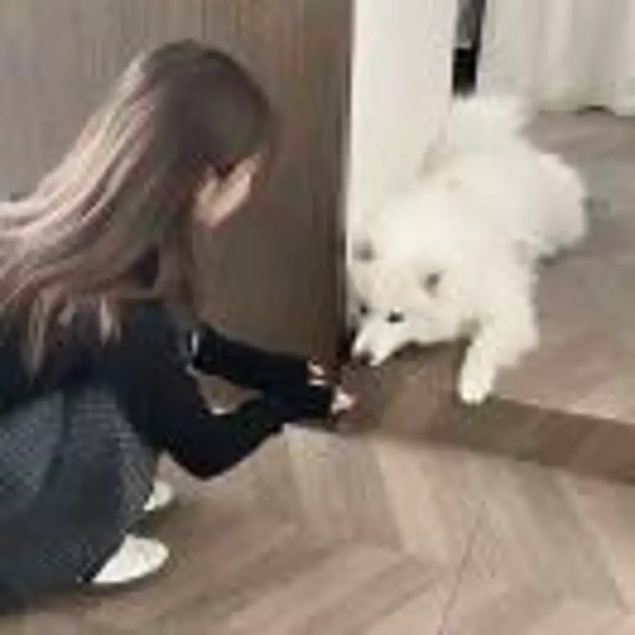 想看海的头像