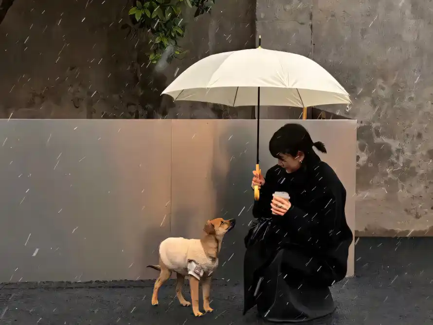 3k下雨壁纸-黑色大衣 - 街头-壁纸分享「哲风壁纸」