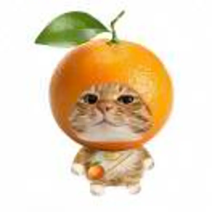 follow🍊的头像