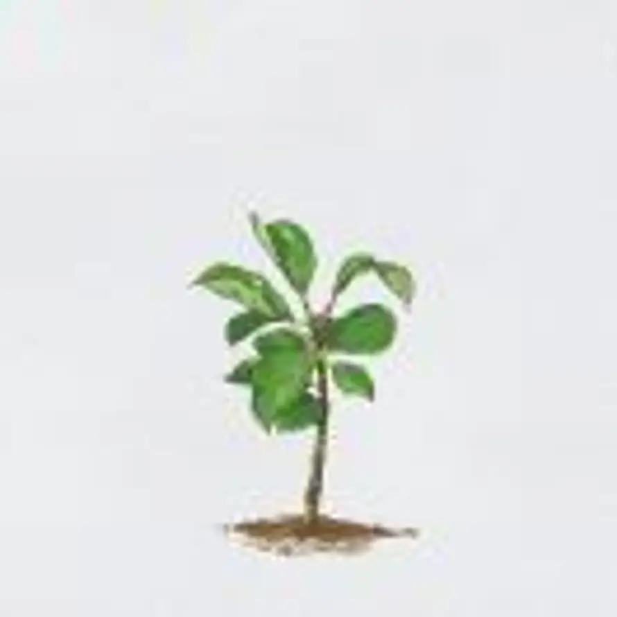 颖山的头像
