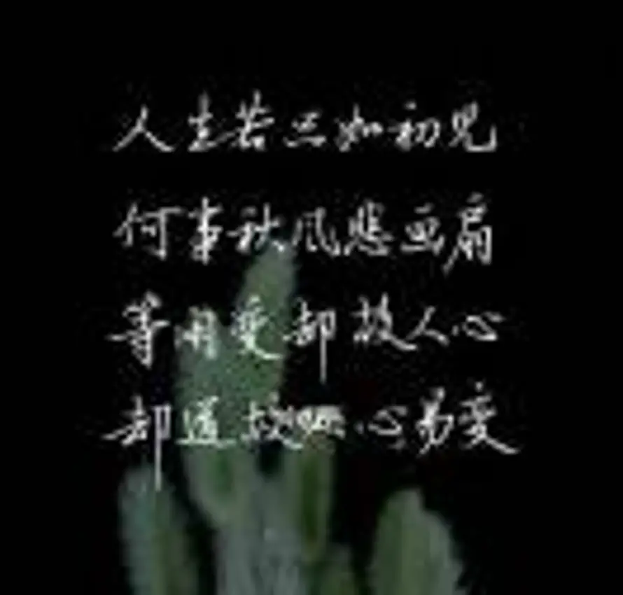 Divine Love Peaceヽ☄的头像