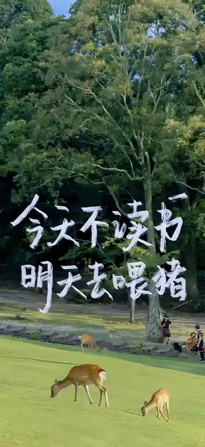4k励志壁纸 - 小鹿 - 户外 - 文案「哲风壁纸」