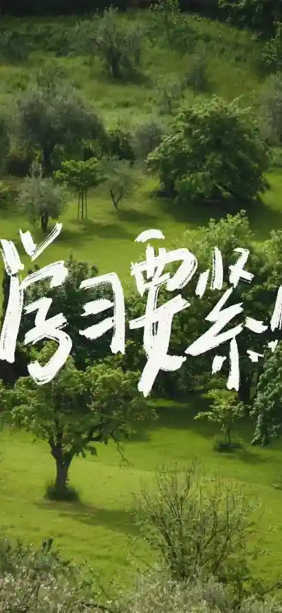 4k励志壁纸 - 奋斗 - 学习 - 树木「哲风壁纸」