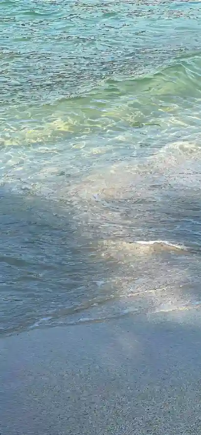 4k水波壁纸 - 水面 - 波光 - 浅水「哲风壁纸」
