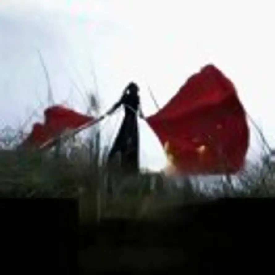 紫气东来的头像