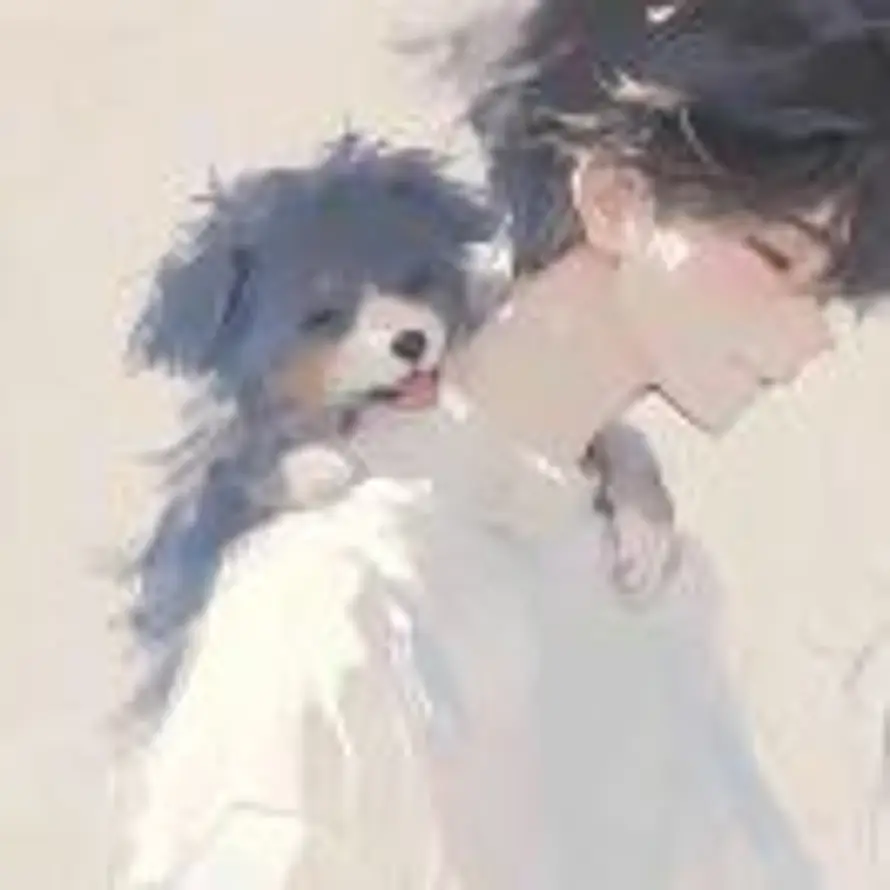 晚点起.的头像
