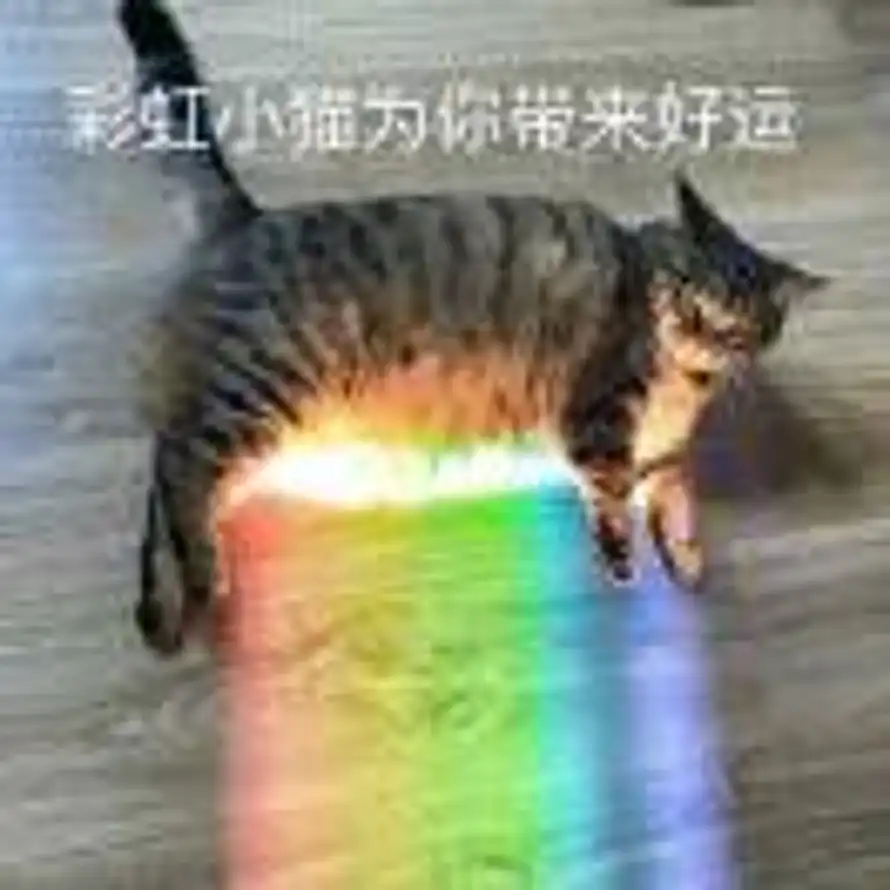xx的用户头像 - 哲风壁纸