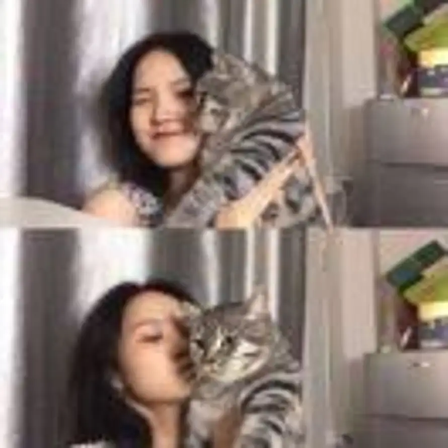 磊磊的头像