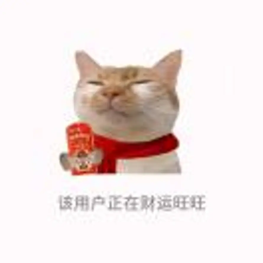 José的头像