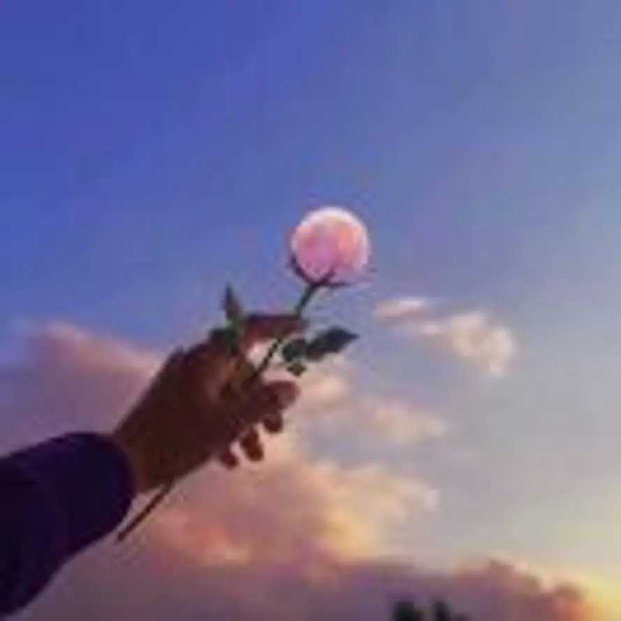 Xjt_的头像