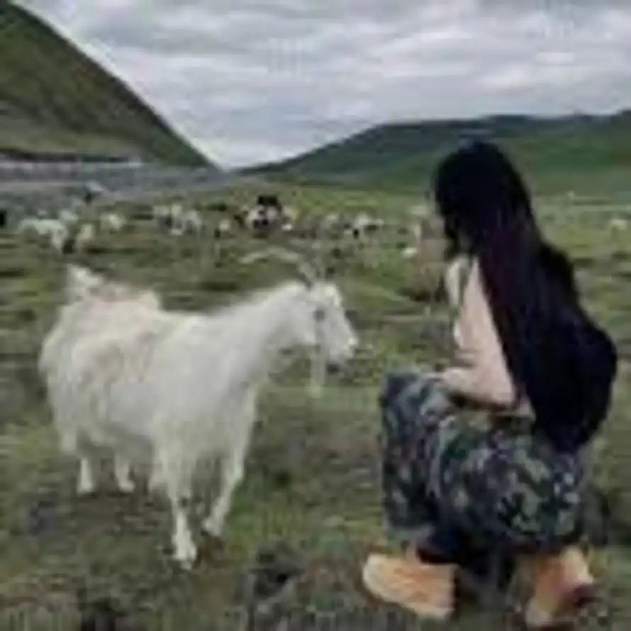 .L的头像