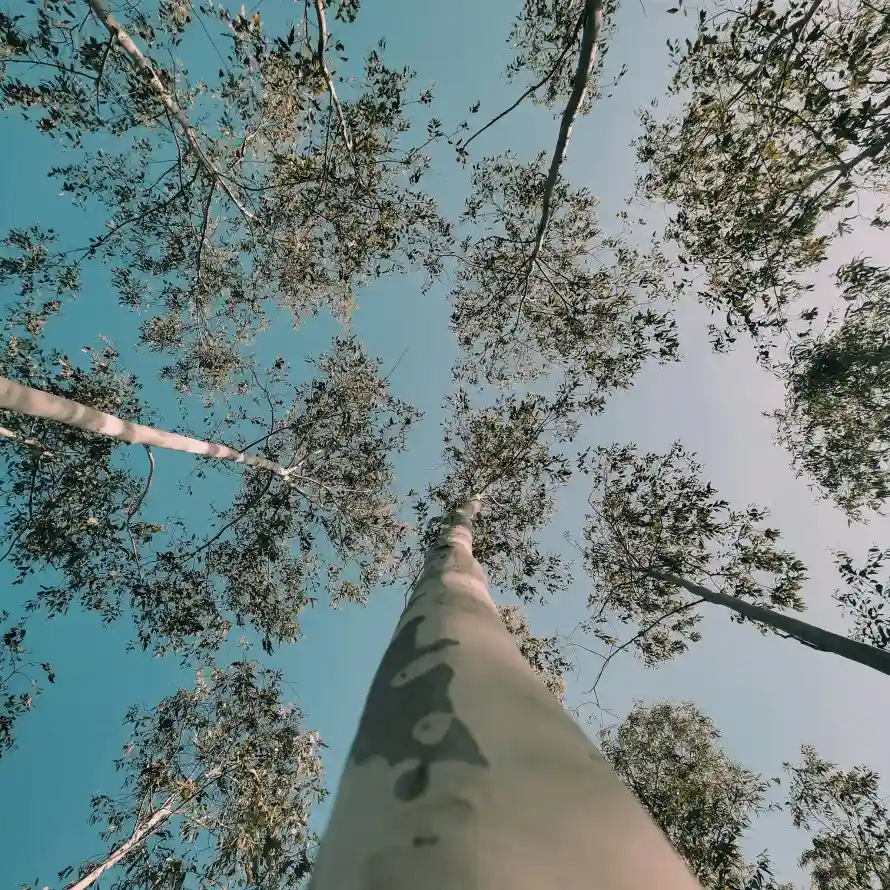 主题背景图片