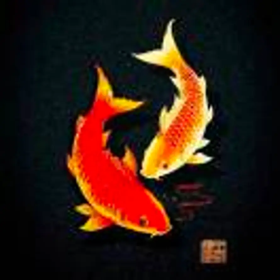 艮泽🌊的头像