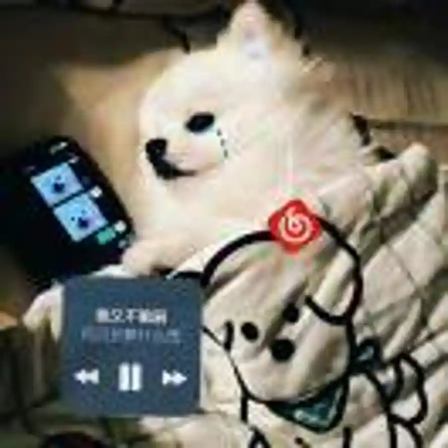 落槐忆的头像