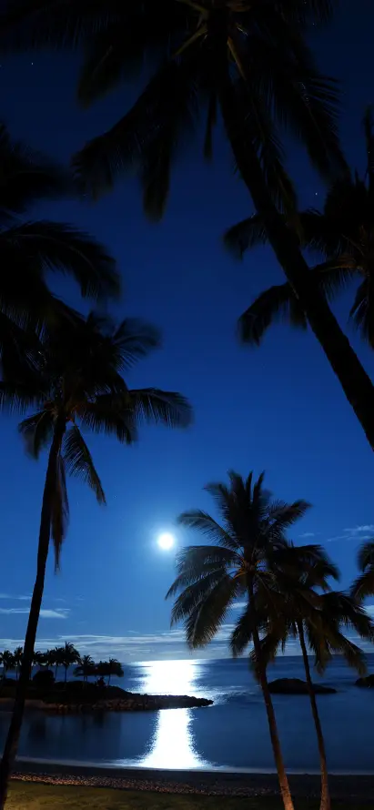 4k海滩壁纸 - 夜晚 - 海滨 - 海面「哲风壁纸」