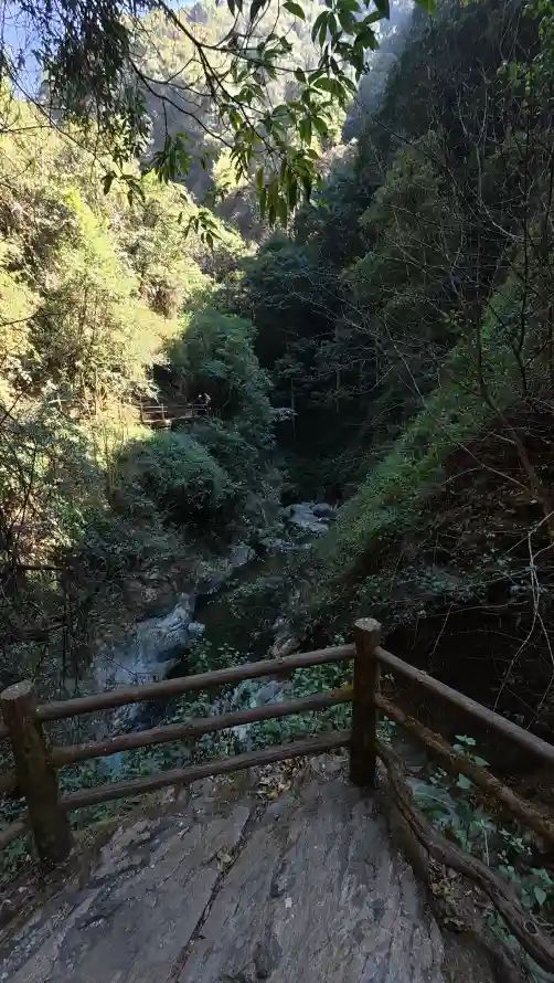 4k山谷壁纸 - 峡谷 - 户外 - 森林「哲风壁纸」