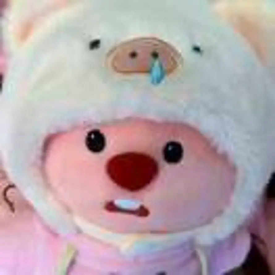 ʚ🧸ɞ的头像