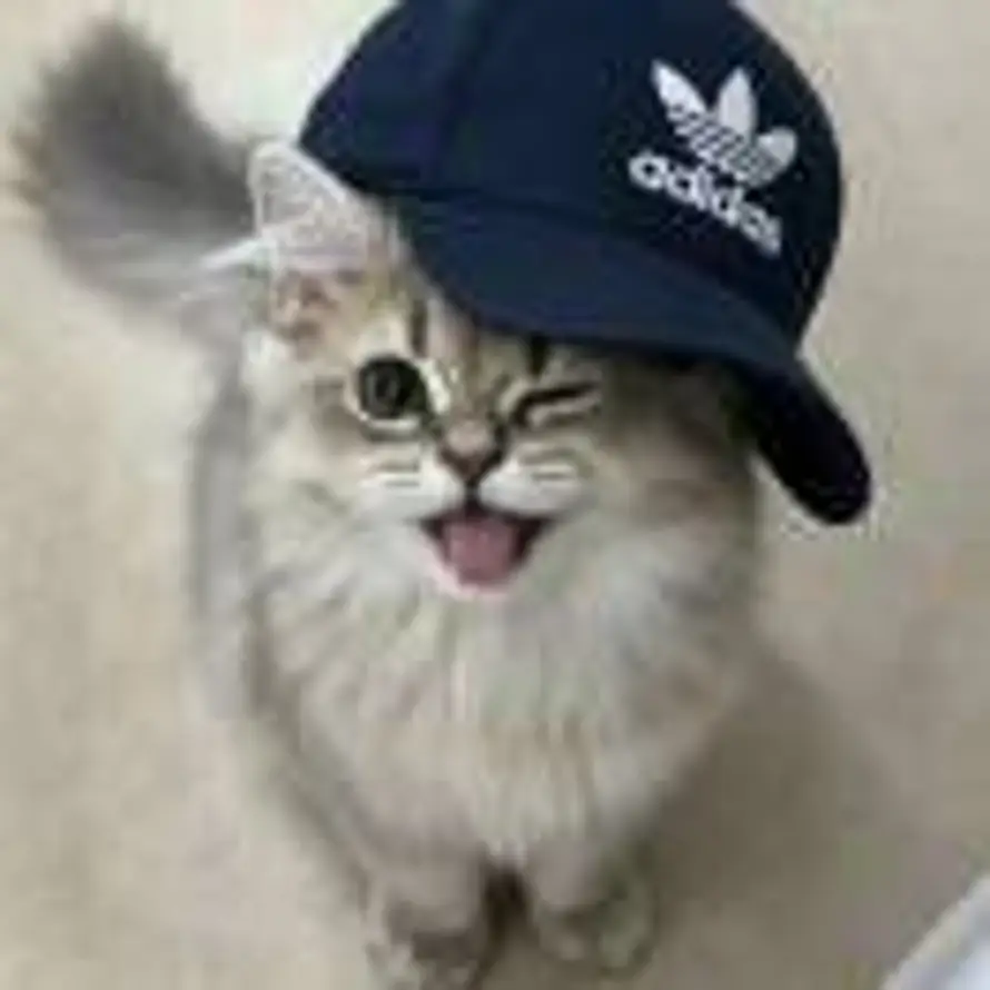 。的头像