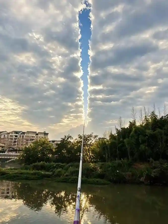 主题背景图片
