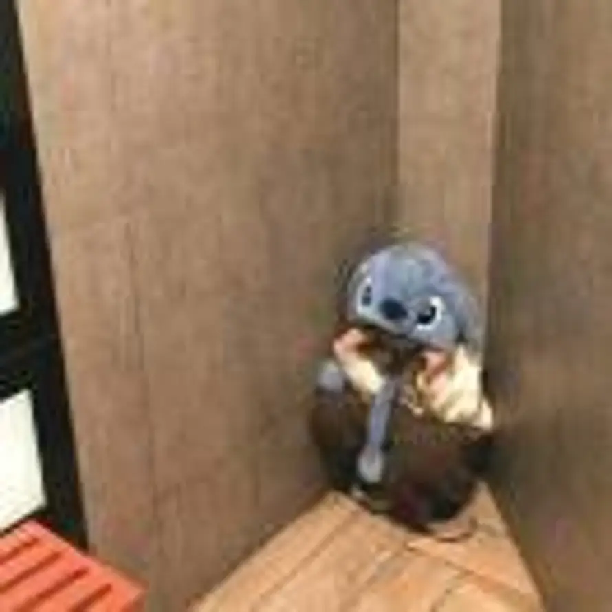 壹只鱼网络(高端全屋定制)的头像