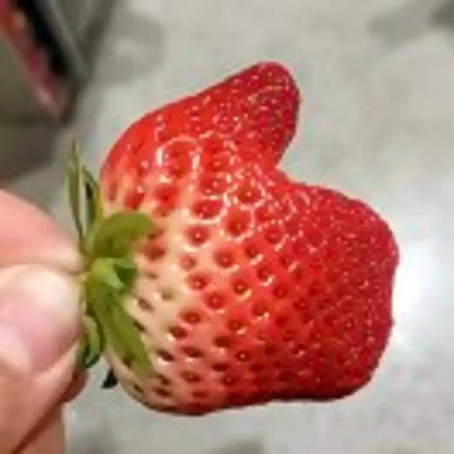 七安的头像