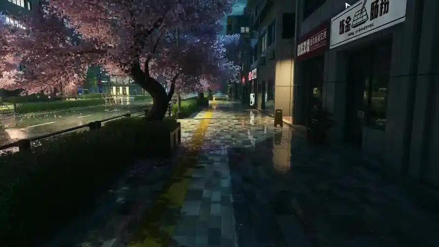 最喜欢的图像