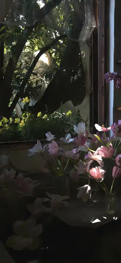 4k光影壁纸 - 夏日 - 树荫 - 盆栽「哲风壁纸」