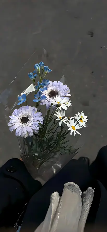 4k手套壁纸 - 花束 - 花艺 - 雏菊「哲风壁纸」