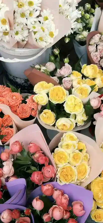 4k绿叶壁纸 - 花卉 - 花店 - 花束「哲风壁纸」