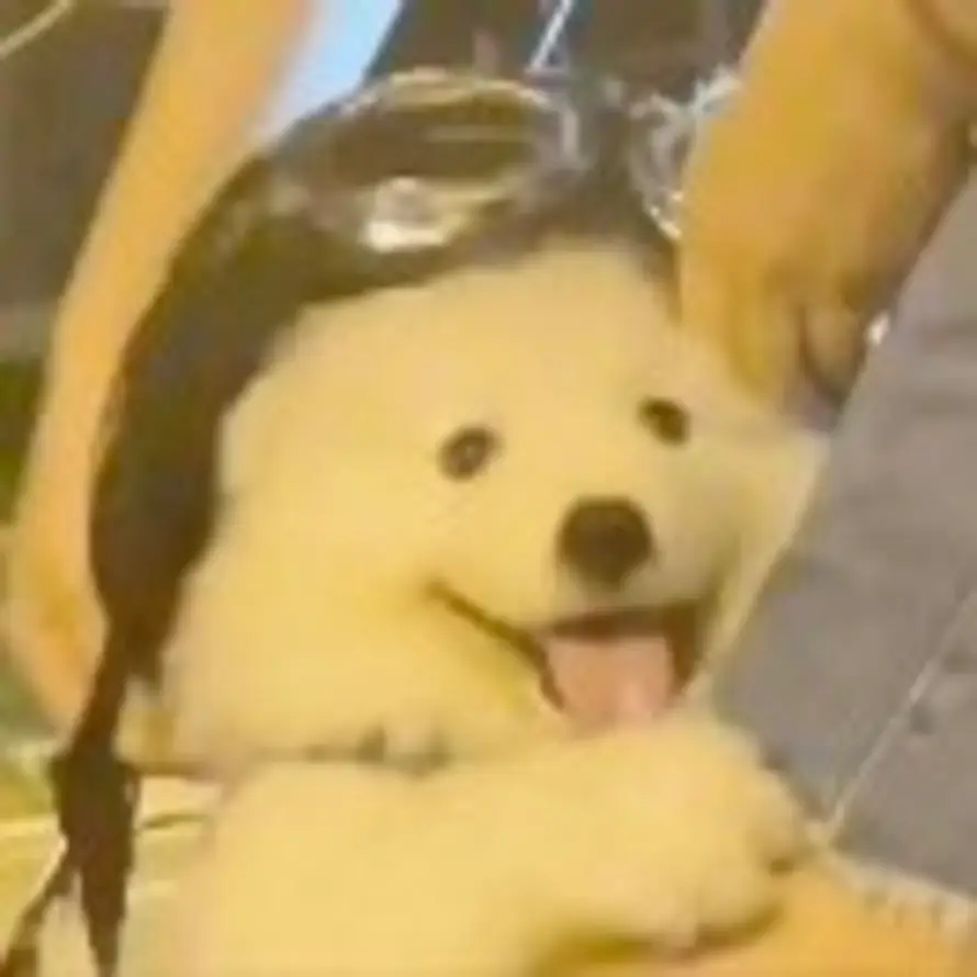一叶之秋的头像