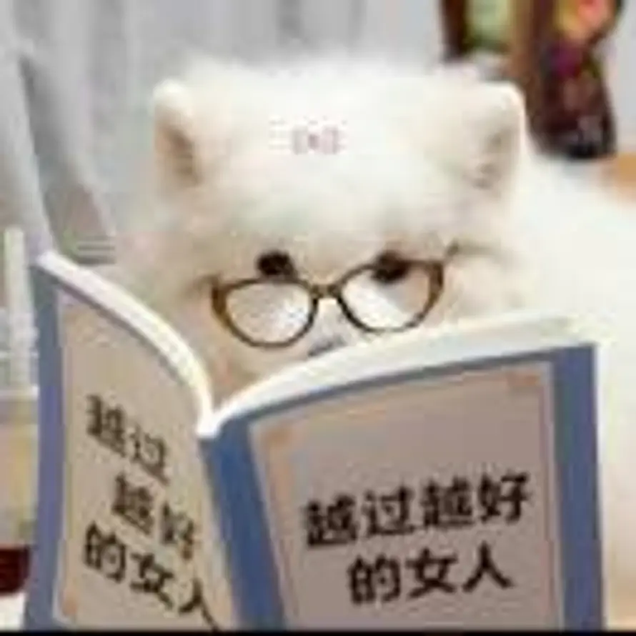 天文mio的头像