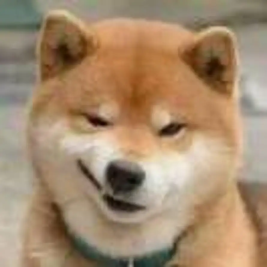 锋的头像