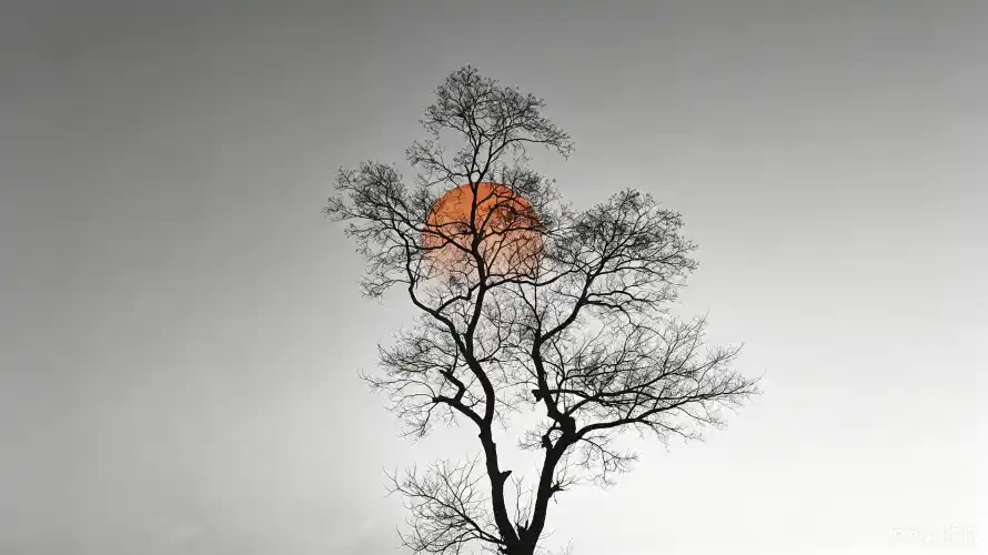 3k剪影壁纸-橙红太阳壁纸和壁纸-灰白背景免费下载「哲风壁纸」