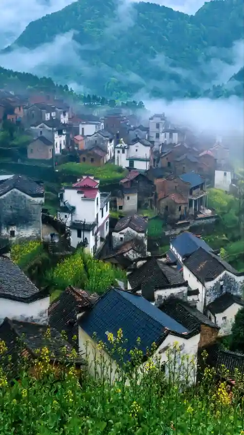 4k绿植壁纸 - 乡村 - 青山 - 云雾「哲风壁纸」