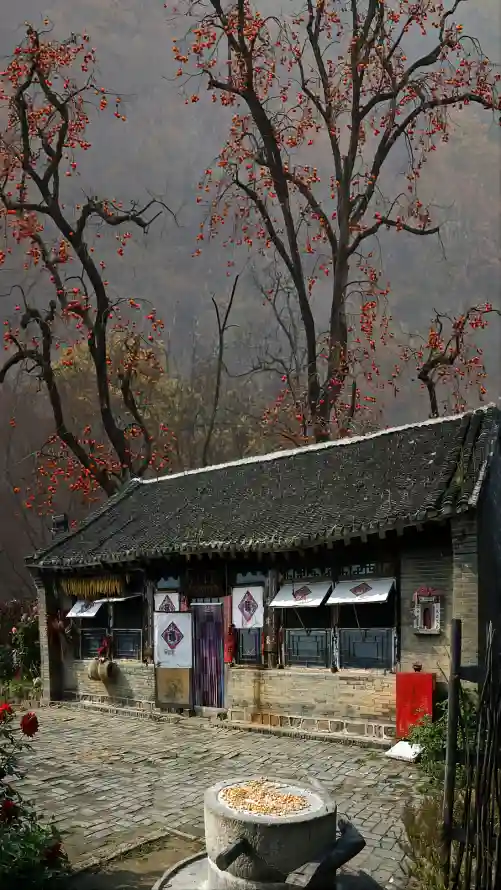 4k阴天壁纸 - 秋天 - 红叶 - 玉米「哲风壁纸」