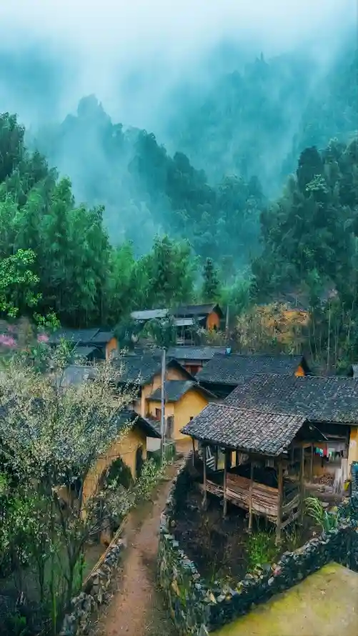 4k树林壁纸 - 乡村 - 山林 - 青山「哲风壁纸」