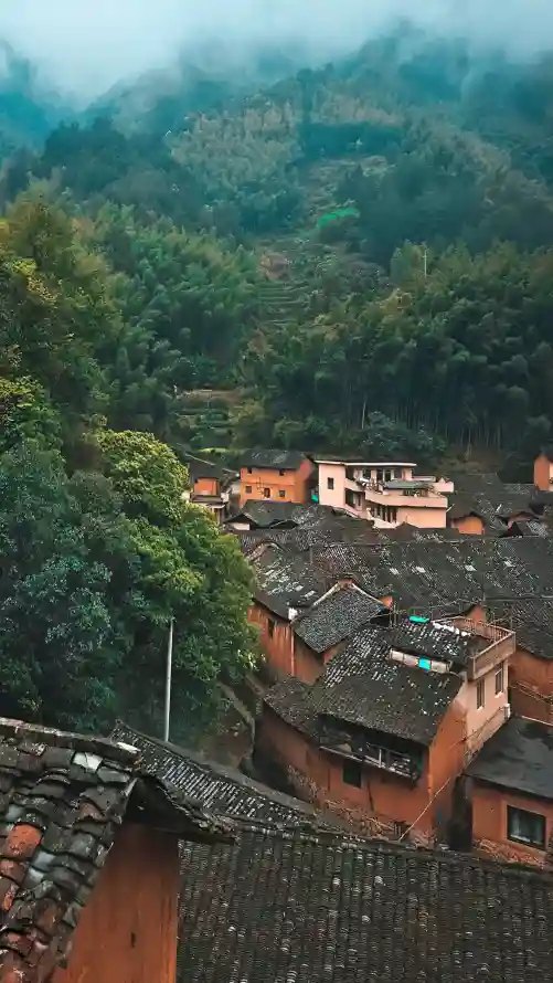 4k绿植壁纸 - 乡村 - 山林 - 远山「哲风壁纸」