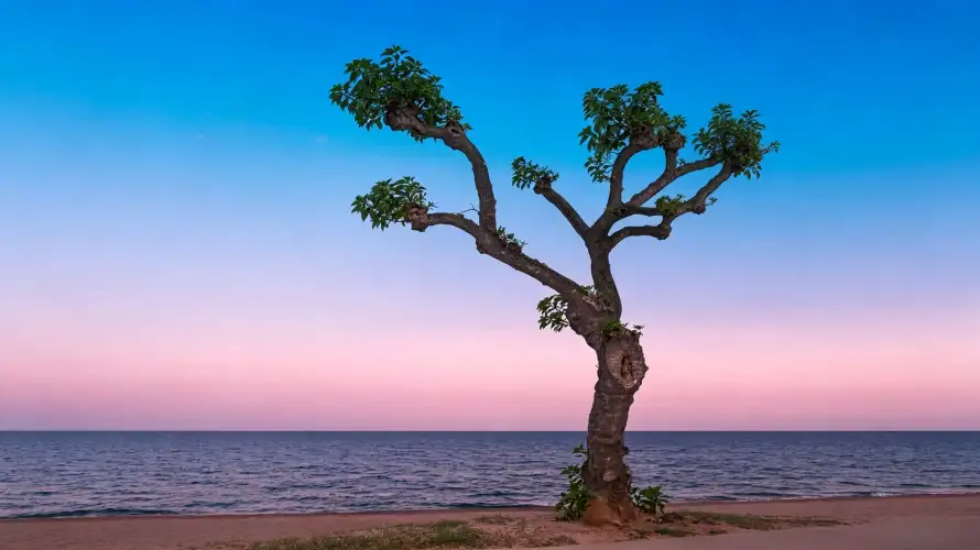 4k壁纸壁纸 - 沙滩 - 海岸 - 海景「哲风壁纸」 4k壁纸壁纸 - 沙滩 - 海岸 - 海景「哲风壁纸」