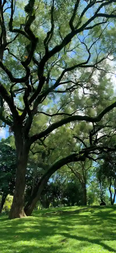 主题背景图片