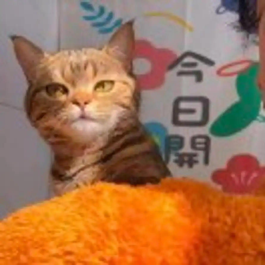 小吴同学的头像
