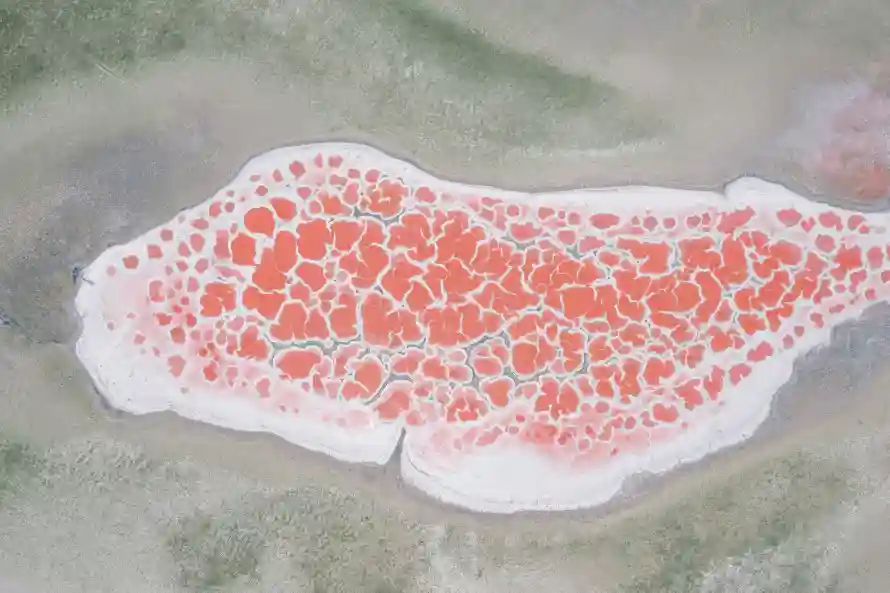 4k地热泉壁纸 - 橙红色 - 地质奇观 - 灰色背景「哲风壁纸」 4k地热泉壁纸 - 橙红色 - 地质奇观 - 灰色背景「哲风壁纸」