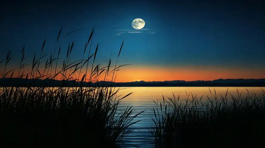 4k倒影壁纸 - 夜景 - 夜空 - 好看「哲风壁纸」