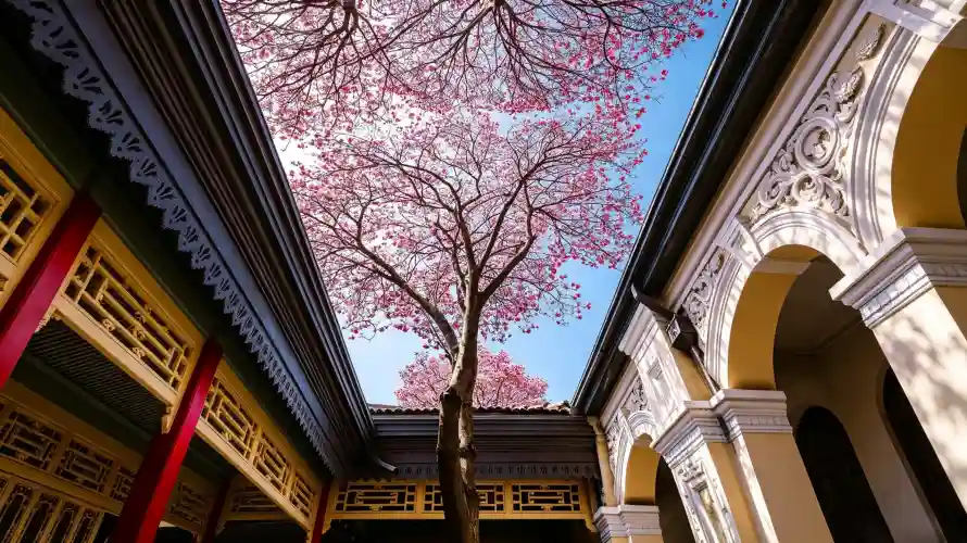 4k中式壁纸 - 仰视 - 光影 - 壁纸「哲风壁纸」 4k中式壁纸 - 仰视 - 光影 - 壁纸「哲风壁纸」