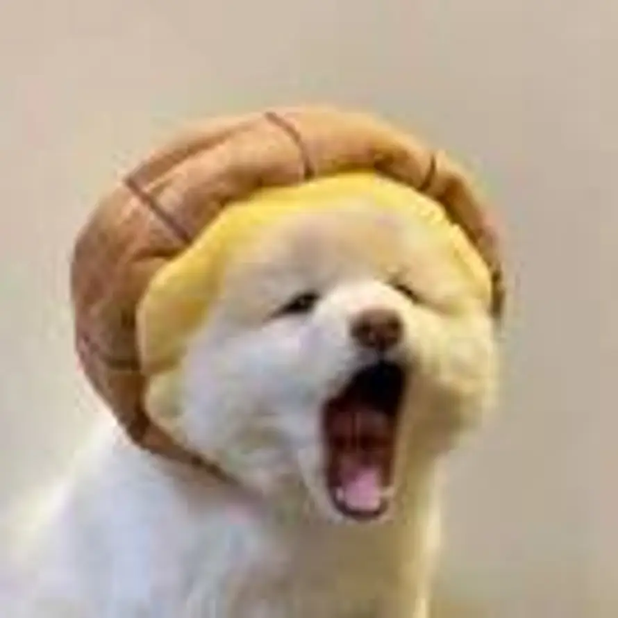 🦁的头像