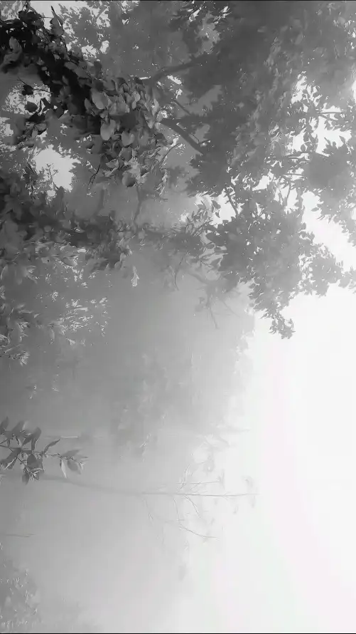 主题背景图片